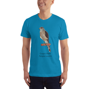 Cooper's Hawk T-Shirt